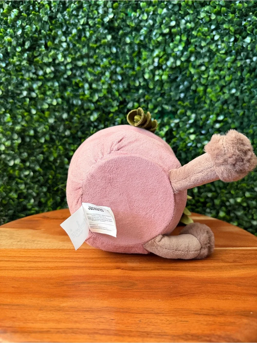 Greenhouse by Russ Margo the Succulent 12” Plush